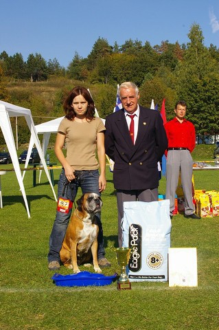 www.boxer-show.eu